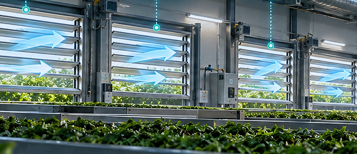 Tea Factories — Climate & Louver Control